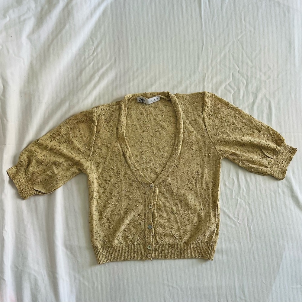 Zara crop top